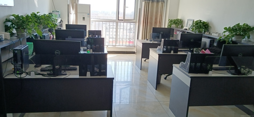 霖森信息咨詢服務(wù) 開啟專業(yè)信息咨詢新篇章